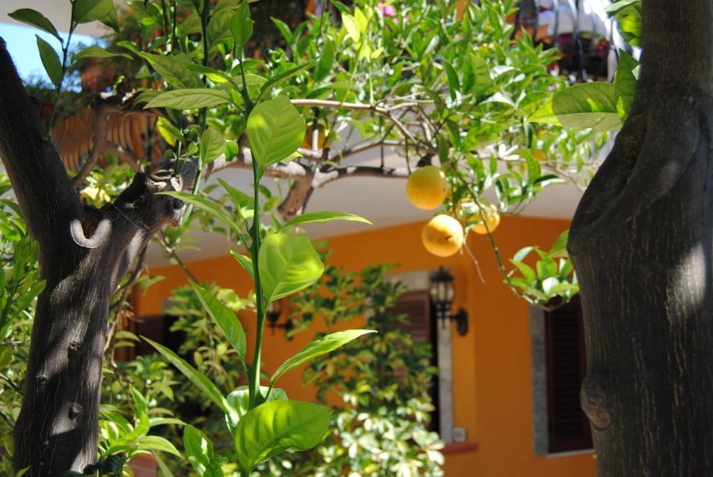Il Glicine 3* Taormina