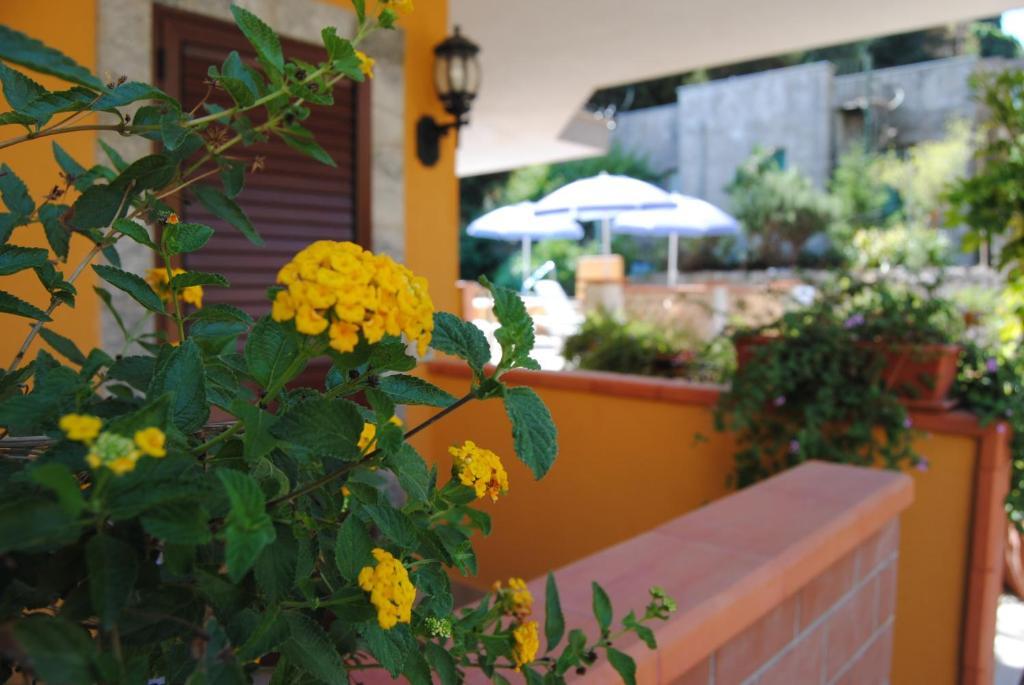 Il Glicine Apart-hotel 3*